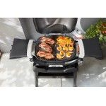 Barbacoa Weber Q 1200N
