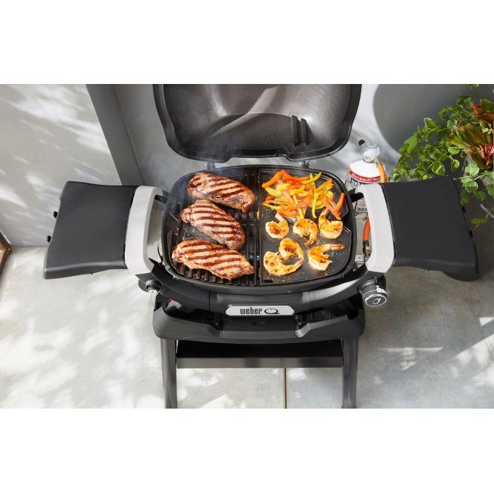 Barbacoa Weber Q 1200N