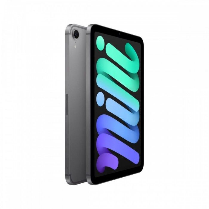 iPad mini Wi-Fi+Cell 512GB Cinzento sideral