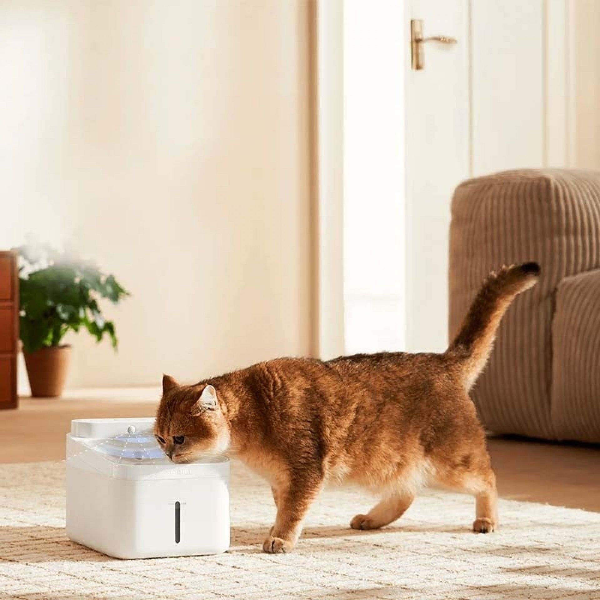 Fonte de Água Xiaomi Smart Pet Fountain 2 White