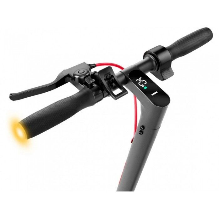 Electric Scooter 10P Ride-100 Pro Ii - 7.5Ah