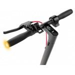 Electric Scooter 10P Ride-100 Pro Ii - 7.5Ah