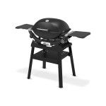 Barbecue Weber Q 2200N com suporte