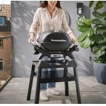 Barbecue Weber Q 2200N com suporte