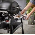 Barbecue Weber Q 2200N com suporte