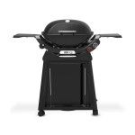 Barbecue Weber Q 2800N+ com Carrinho Premium
